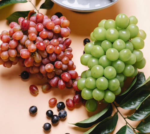 ブドウ